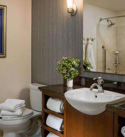 غرفة قياسية مطلة على المدينة, Courtyard Burlington Harbor