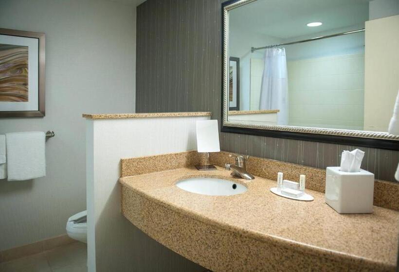 חדר סטנדרט, Courtyard By Marriott Pensacola Downtown