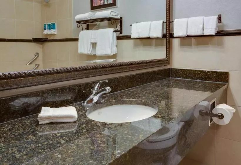 キングサイズベッドのデラックススイート, Drury Inn & Suites Las Cruces