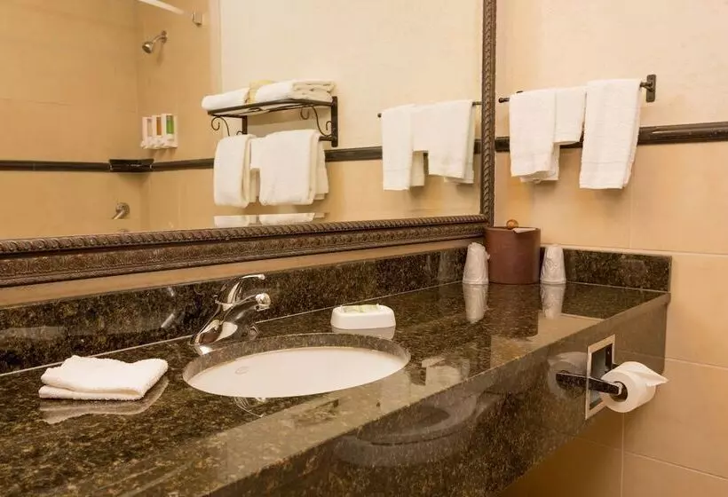 デラックスルーム, Drury Inn & Suites Las Cruces
