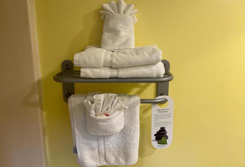 غرفة قياسية سرير كينج, Magnolia Inn Kingsland