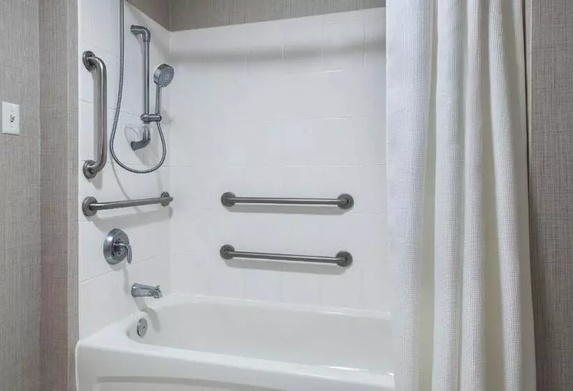 Standard-studio, Residence Inn Silver Spring