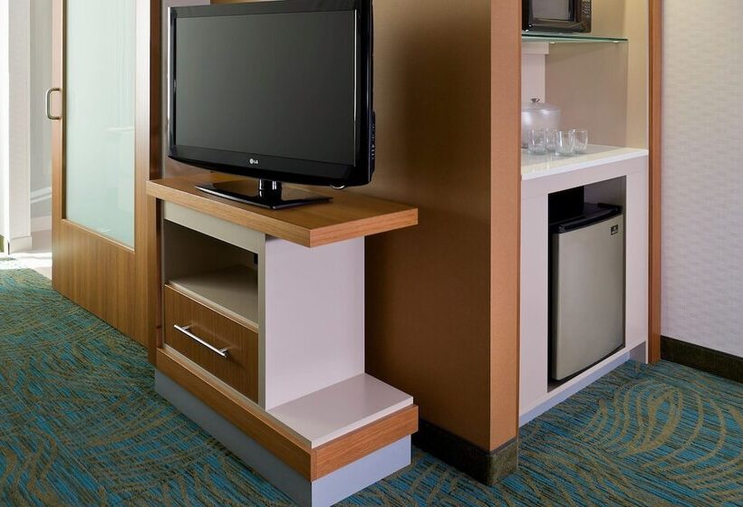 스탠다드 스튜디오, Springhill Suites By Marriott Philadelphia Langhorne