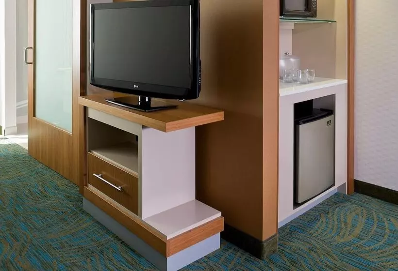 スタンダードスタジオ, Springhill Suites By Marriott Philadelphia Langhorne