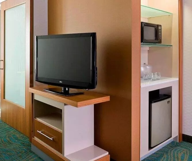 スタンダードスタジオ, Springhill Suites By Marriott Philadelphia Langhorne
