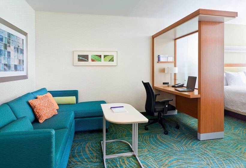 스탠다드 스튜디오, Springhill Suites By Marriott Philadelphia Langhorne