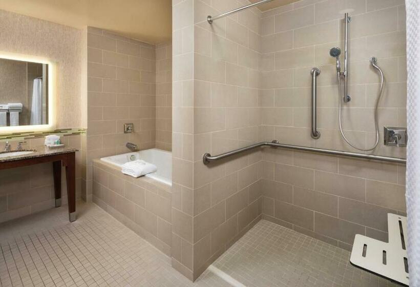 带2个双人床的标准工作室, The Westin Minneapolis