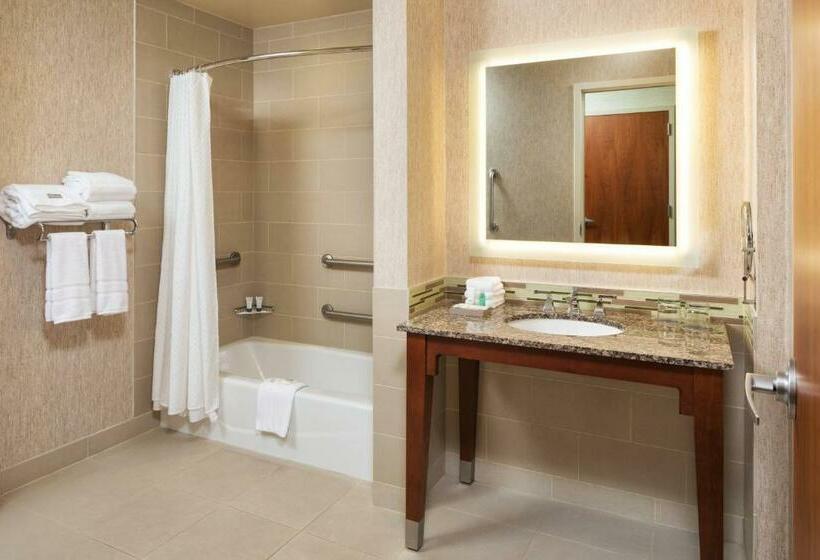 带2个双人床的标准工作室, The Westin Minneapolis