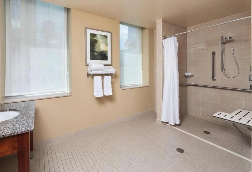 带大床的套房, The Westin Minneapolis