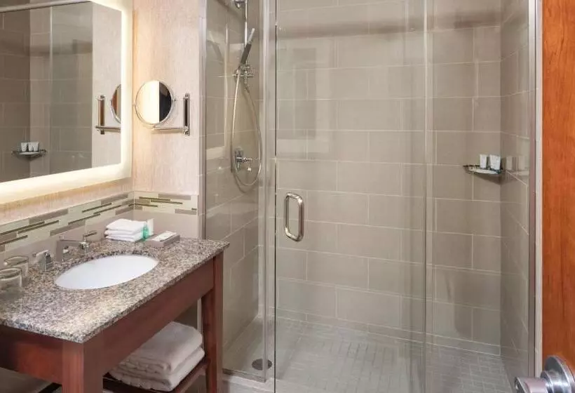 اتاق استاندارد با تخت بزرگ, The Westin Minneapolis