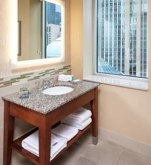 اتاق استاندارد با تخت بزرگ, The Westin Minneapolis