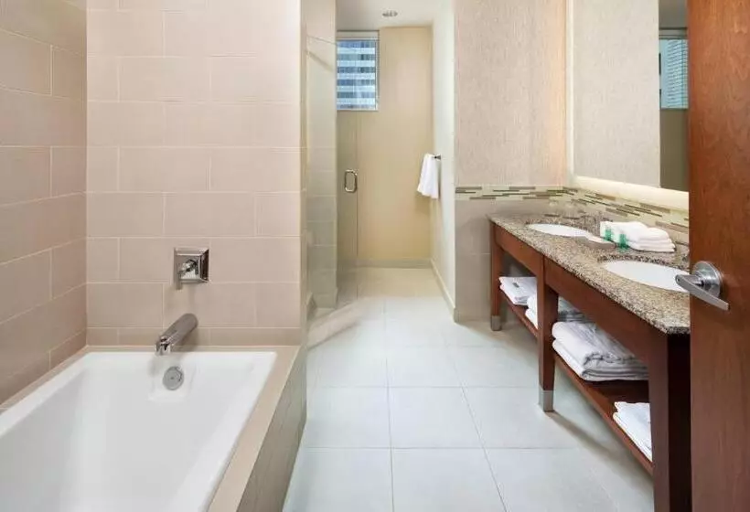 سوئیت با تخت بزرگ, The Westin Minneapolis