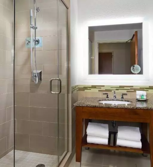 اتاق استاندارد با تخت بزرگ, The Westin Minneapolis