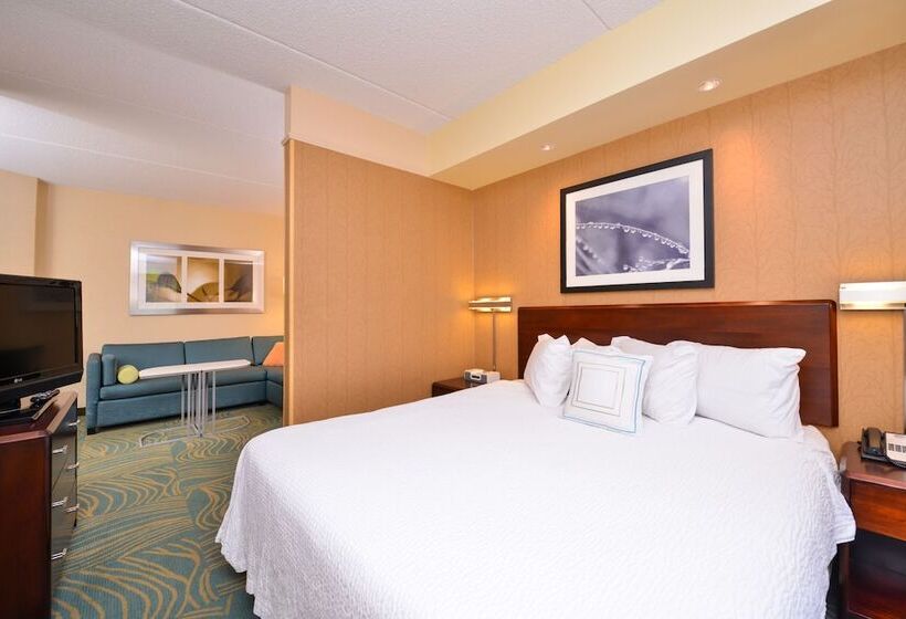 标准工作室, Springhill Suites Arundel Mills Bwi Airport