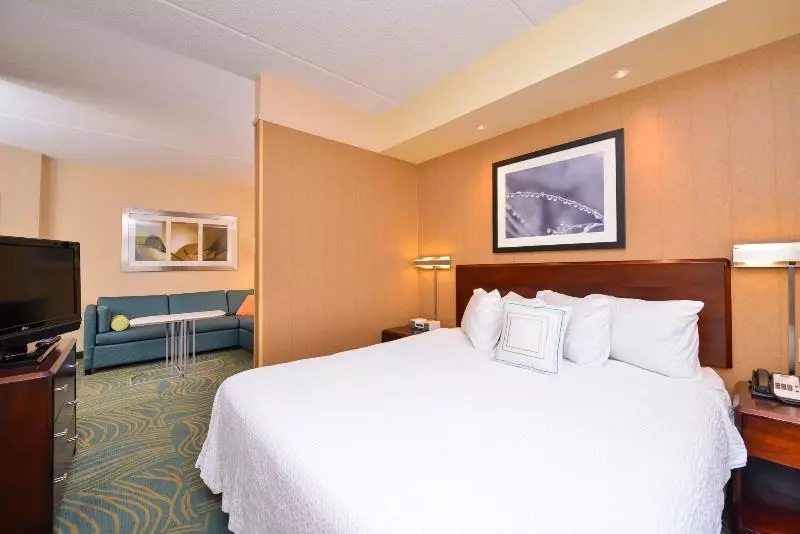 キングサイドベッドのスタンダードワンルーム, Springhill Suites Arundel Mills Bwi Airport