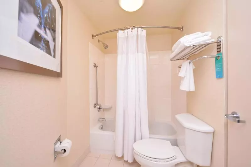 キングサイドベッドのスタンダードワンルーム, Springhill Suites Arundel Mills Bwi Airport