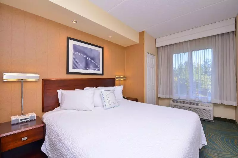 キングサイドベッドのスタンダードワンルーム, Springhill Suites Arundel Mills Bwi Airport