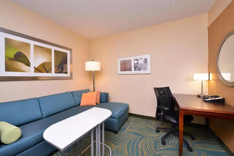 キングサイドベッドのスタンダードワンルーム, Springhill Suites Arundel Mills Bwi Airport