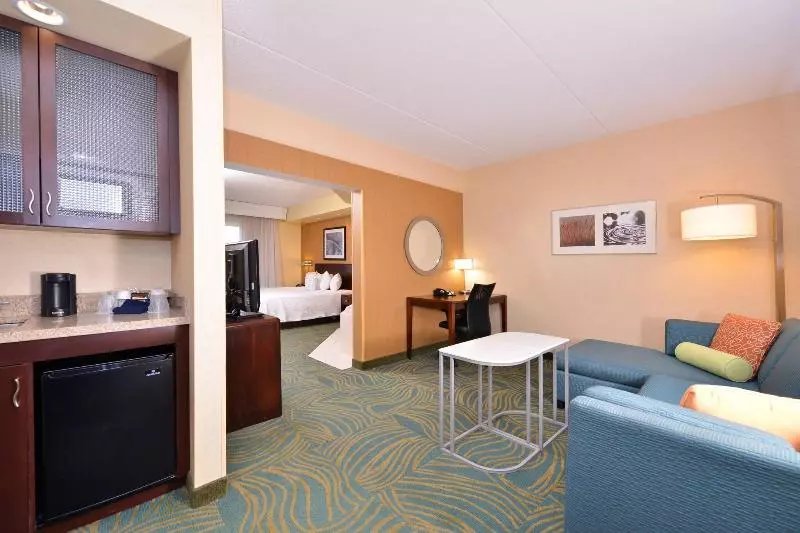 キングサイドベッドのスタンダードワンルーム, Springhill Suites Arundel Mills Bwi Airport