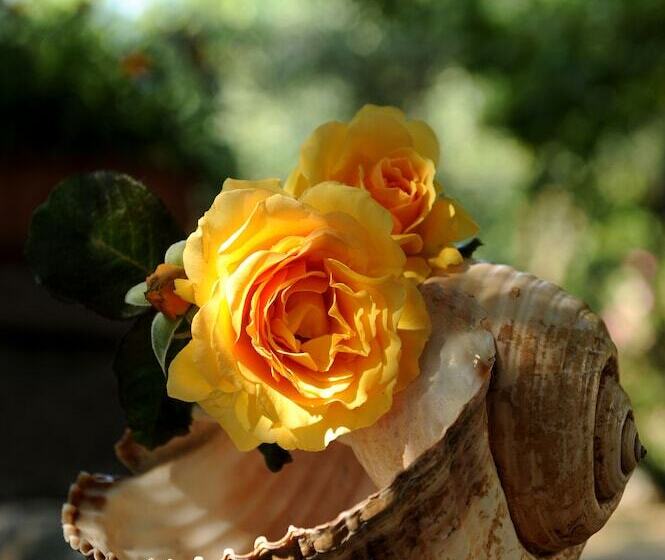 וילת חדר פרמיום, Stagones Luxury Villas