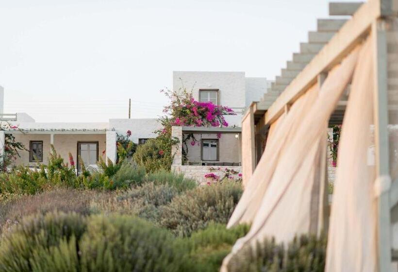 דופלקס חדר שינה אחד, Stagones Luxury Villas