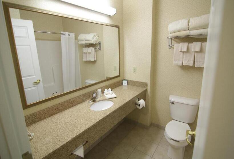 غرفة قياسية سرير كينج, Town & Country Inn And Suites