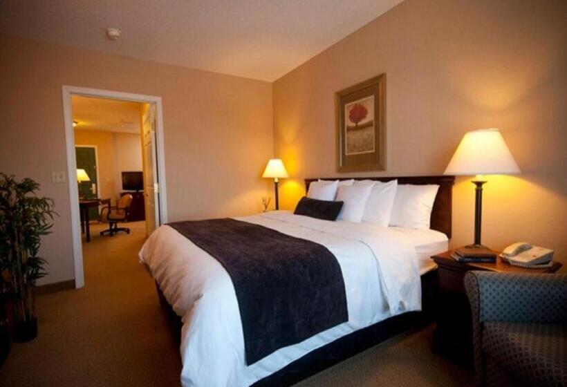 غرفة قياسية سرير كينج, Town & Country Inn And Suites