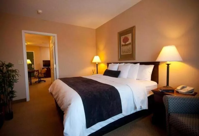 اتاق استاندارد با تخت بزرگ, Town & Country Inn And Suites