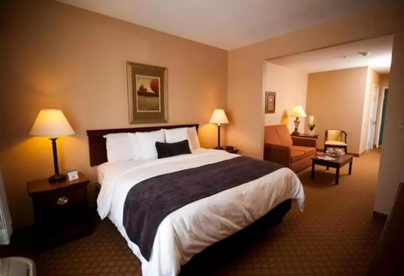 اتاق استاندارد با تخت بزرگ, Town & Country Inn And Suites