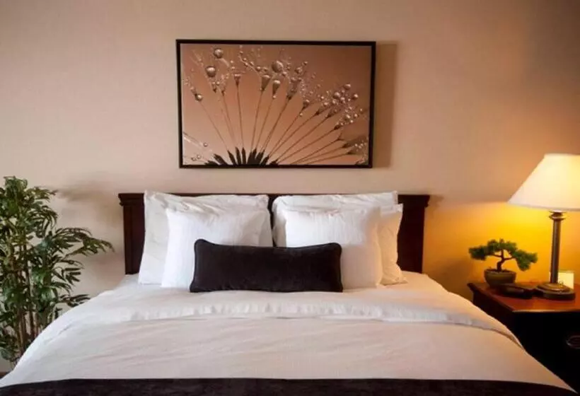 اتاق استاندارد با تخت بزرگ, Town & Country Inn And Suites