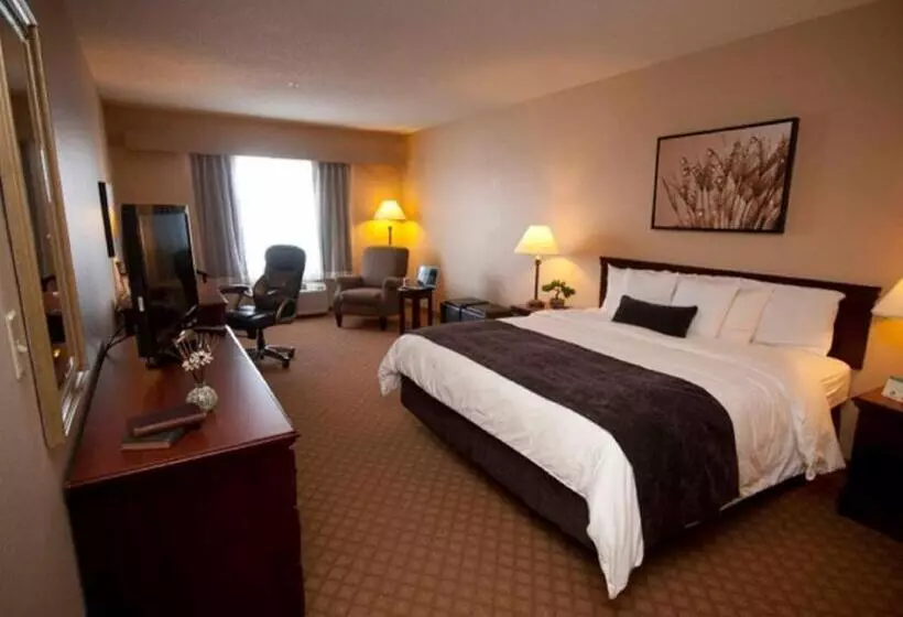 اتاق استاندارد با تخت بزرگ, Town & Country Inn And Suites