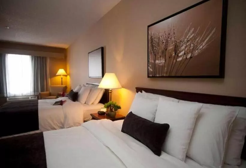 اتاق استاندارد, Town & Country Inn And Suites