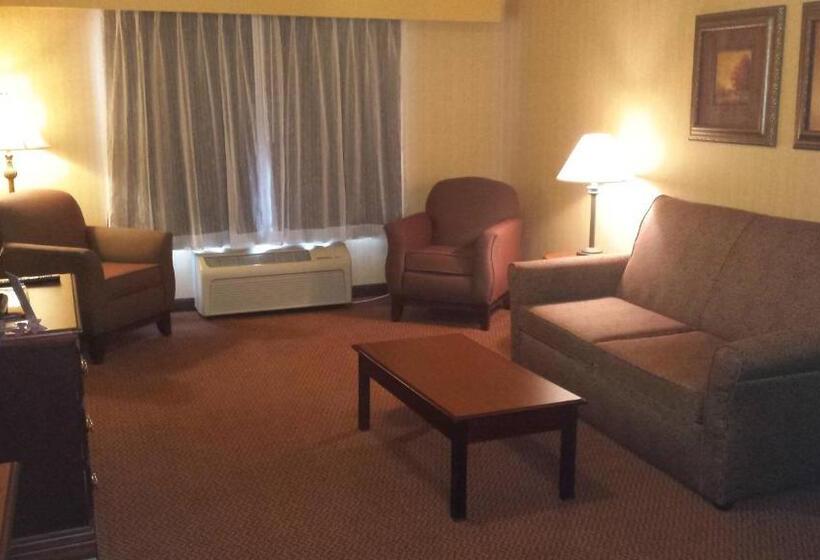 キングサイズベッドのスイートルーム, Town & Country Inn And Suites