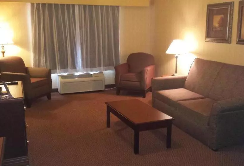 سوئیت با تخت بزرگ, Town & Country Inn And Suites