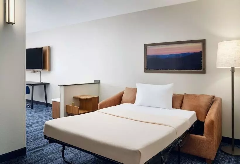 スイート, Fairfield Inn & Suites Auburn Opelika