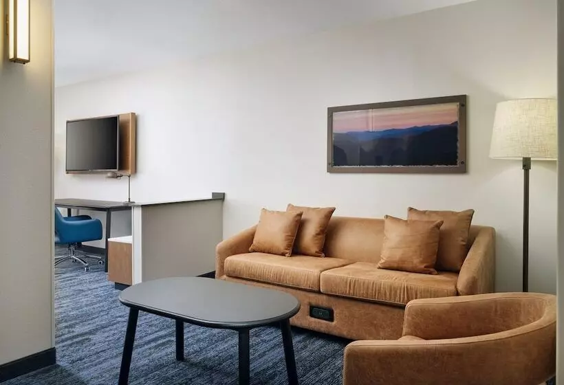 スイート, Fairfield Inn & Suites Auburn Opelika