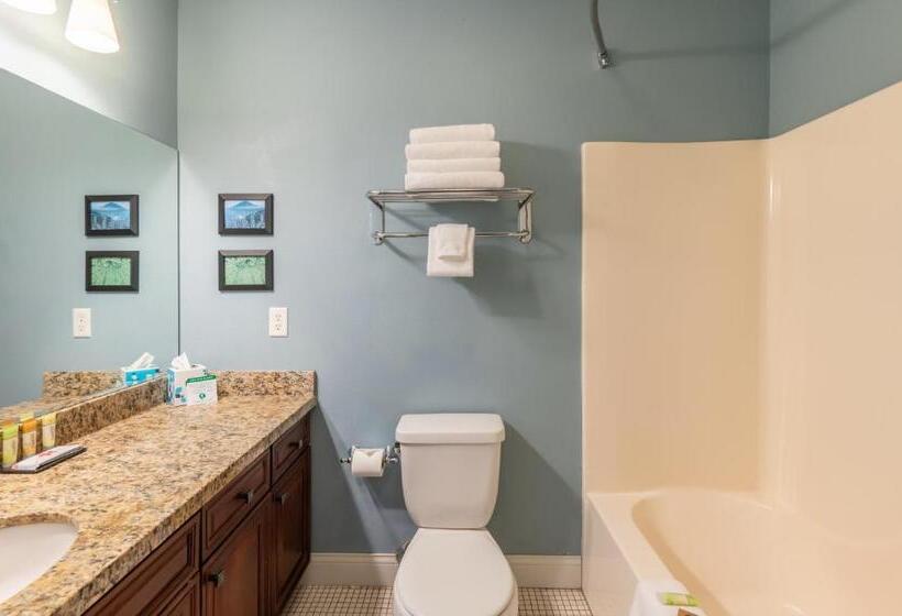 חדר סטנדרט עם מיטת קינג, Pacific Reef Hotel & Light Show