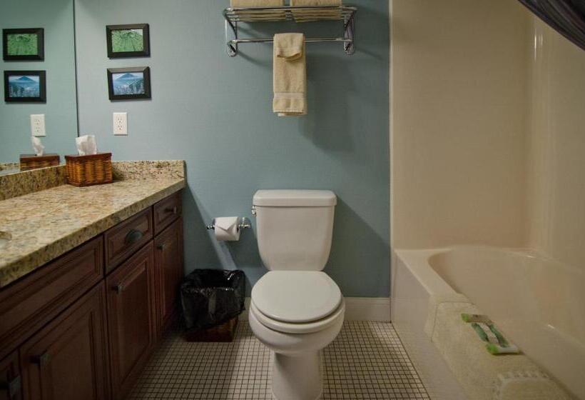 חדר דחוקס עם מיטת קינג, Pacific Reef Hotel & Light Show