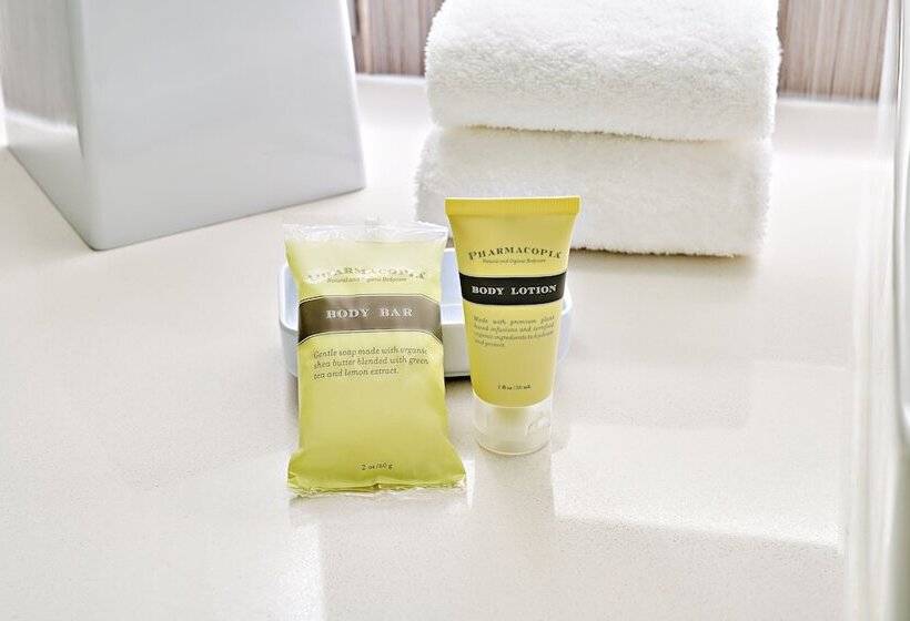 标准间带双人床, Element Arundel Mills Bwi Airport