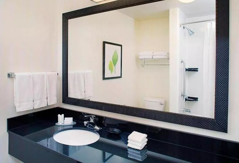 キングサイズベッドのスイートルーム, Fairfield Inn & Suites Twentynine Palmsjoshua Tree National Park