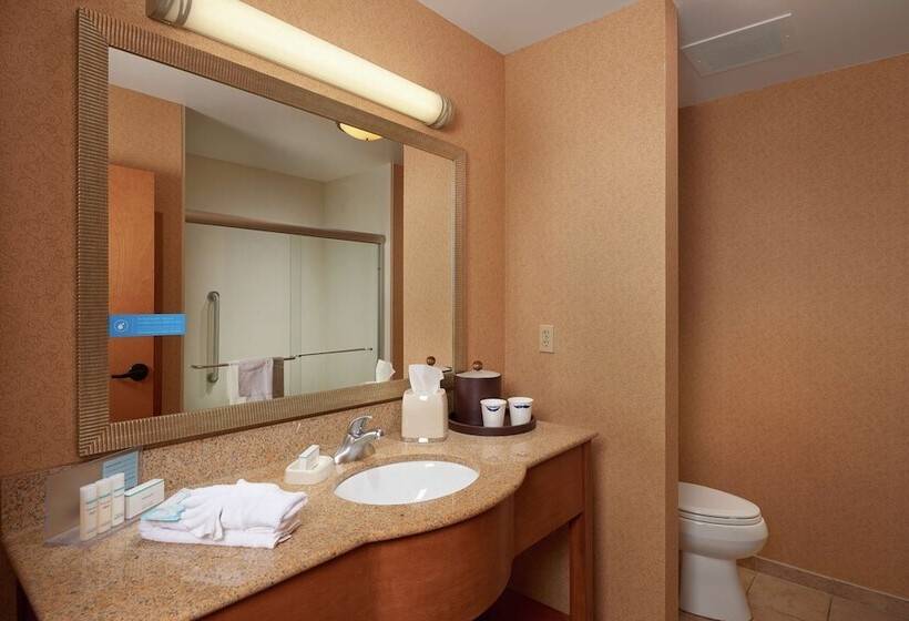 带大床的标准间, Hampton Inn & Suites Canton