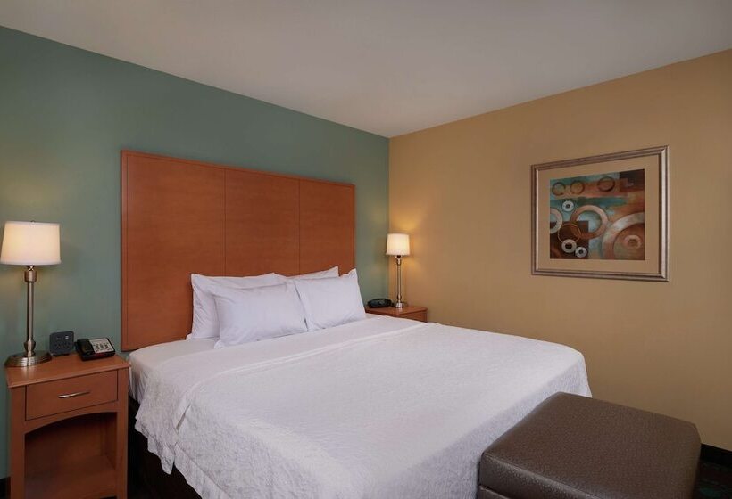اتاق استاندارد با تخت بزرگ, Hampton Inn & Suites Canton