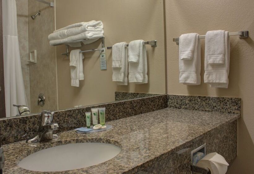 Delüks Oda, Allington Inn & Suites Kremmling