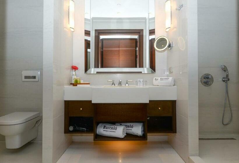 スーペリアールーム, Barcelo Istanbul