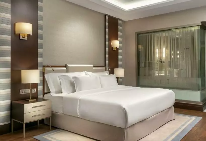 デラックスルーム, Barcelo Istanbul