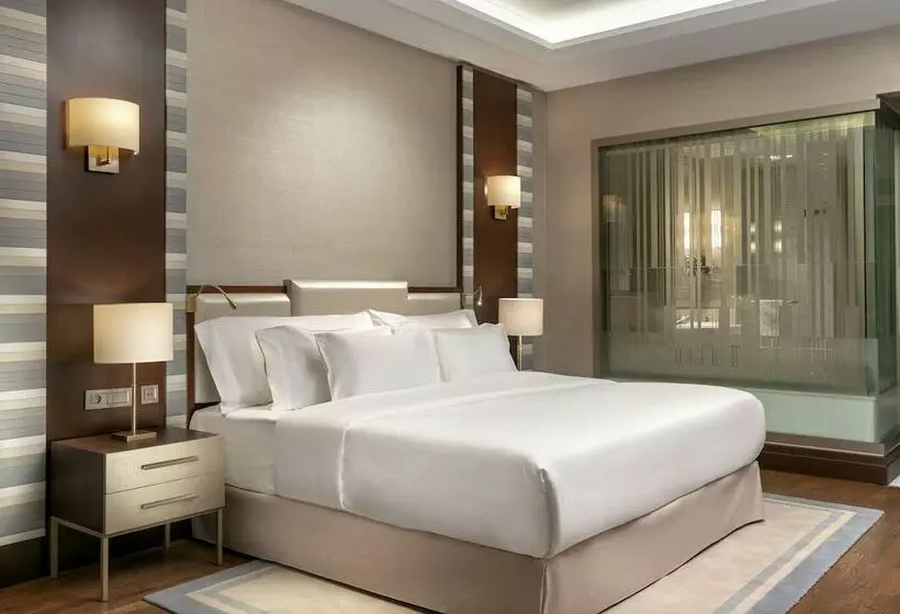 デラックスルーム, Barcelo Istanbul