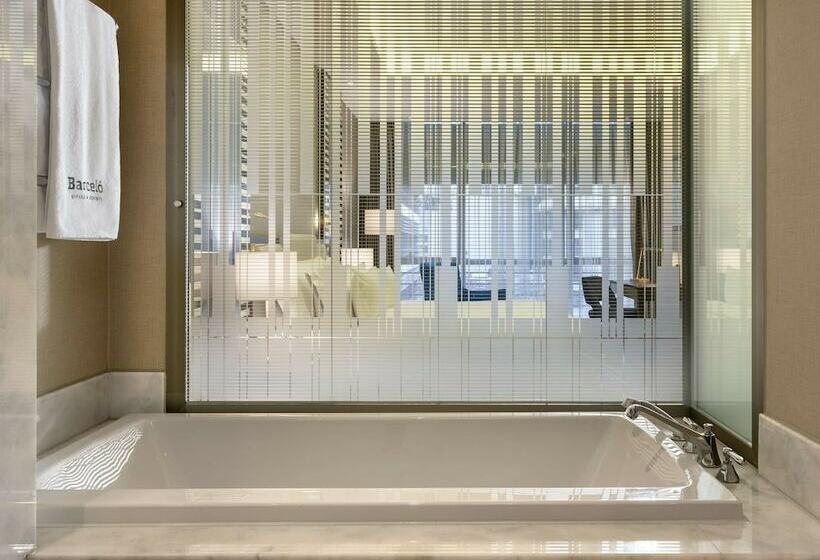 デラックスルーム, Barcelo Istanbul