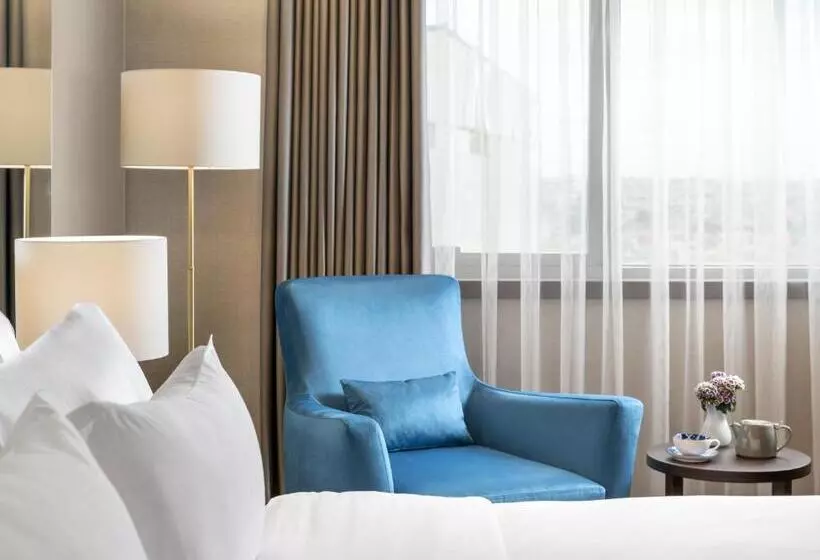 1ベッドルームアパートメントをつなぐ, Barcelo Istanbul