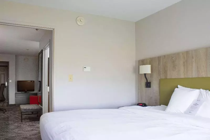 キングサイズベッドのスイートルーム, Country Inn & Suites By Radisson, Carlisle, Pa