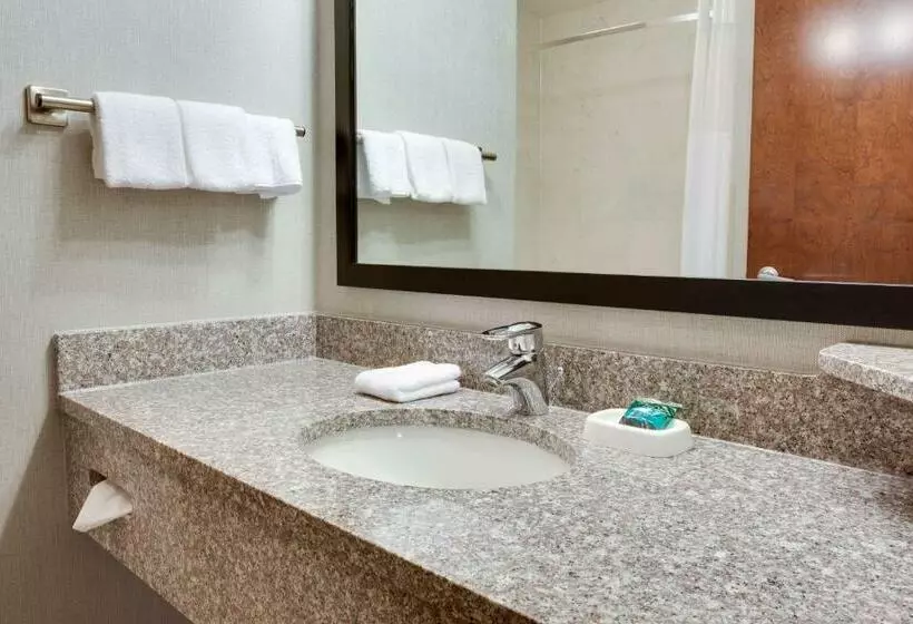 デラックスルーム, Drury Inn & Suites Middletown Franklin